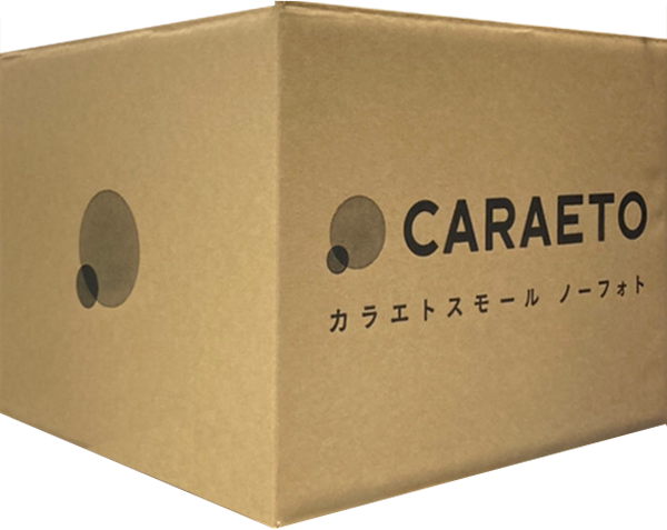 CARAETO（カラエト）の段ボール組み立て後